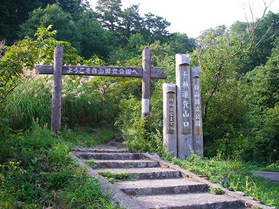平瀬道登山口