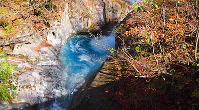 大白川園地_10