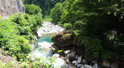 大白川園地_7