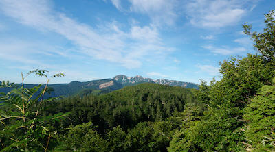 大白川園地_4